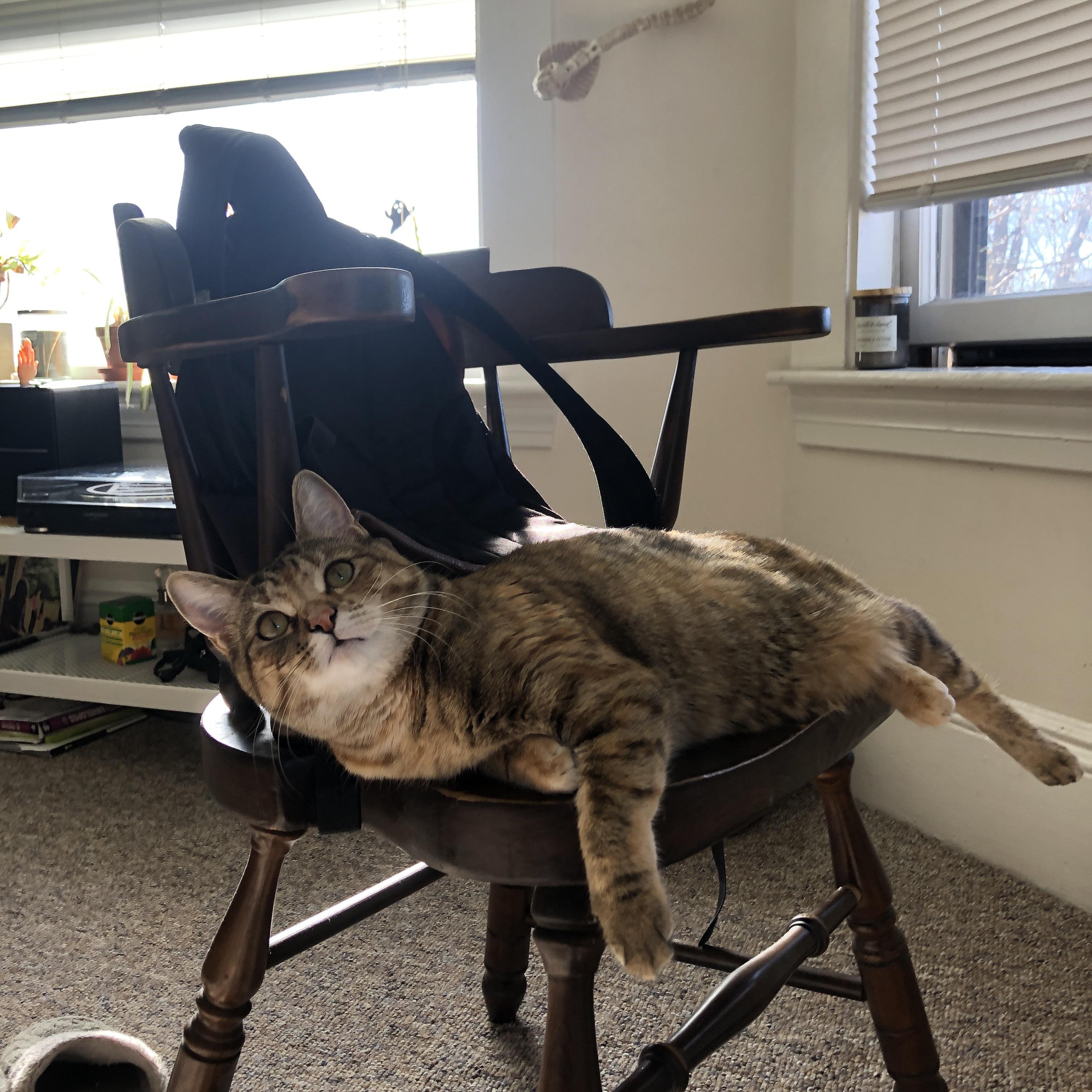 上帝左手书写神迹，塞内加尔时钟精准报时，这场非典型胜利如何肢解了拉齐奥的秩序