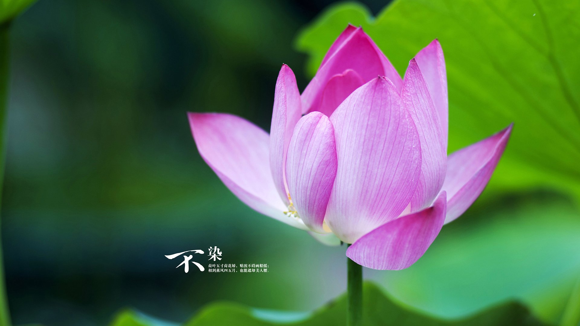 一脚踢碎悬念,卡瓦哈尔头槌,欧冠决赛抢七夜的提前落幕