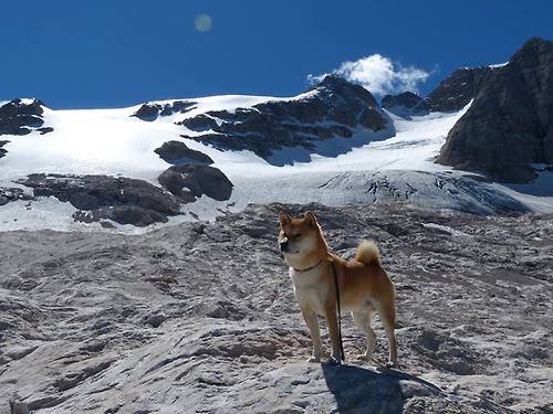 奇才逆转神话，武切维奇只手打碎篮网三巨头王朝梦