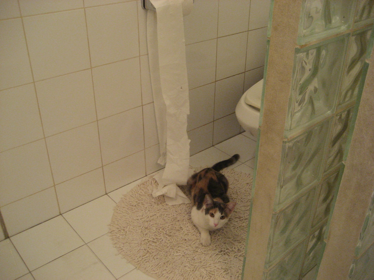 开云-狂胜背后的数据革命，斯通斯如何用钢铁大脑在排名争夺战中接管比赛