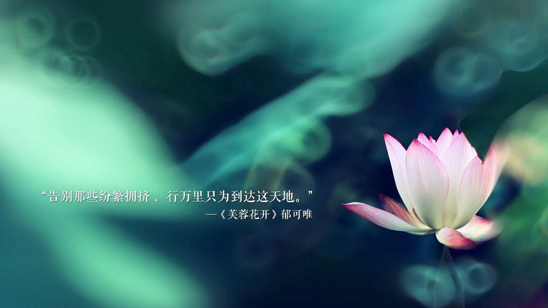 开云-一秒定乾坤，当穆西亚拉的绝杀让瑞士逆转沙特，世界杯积分战燃爆终局